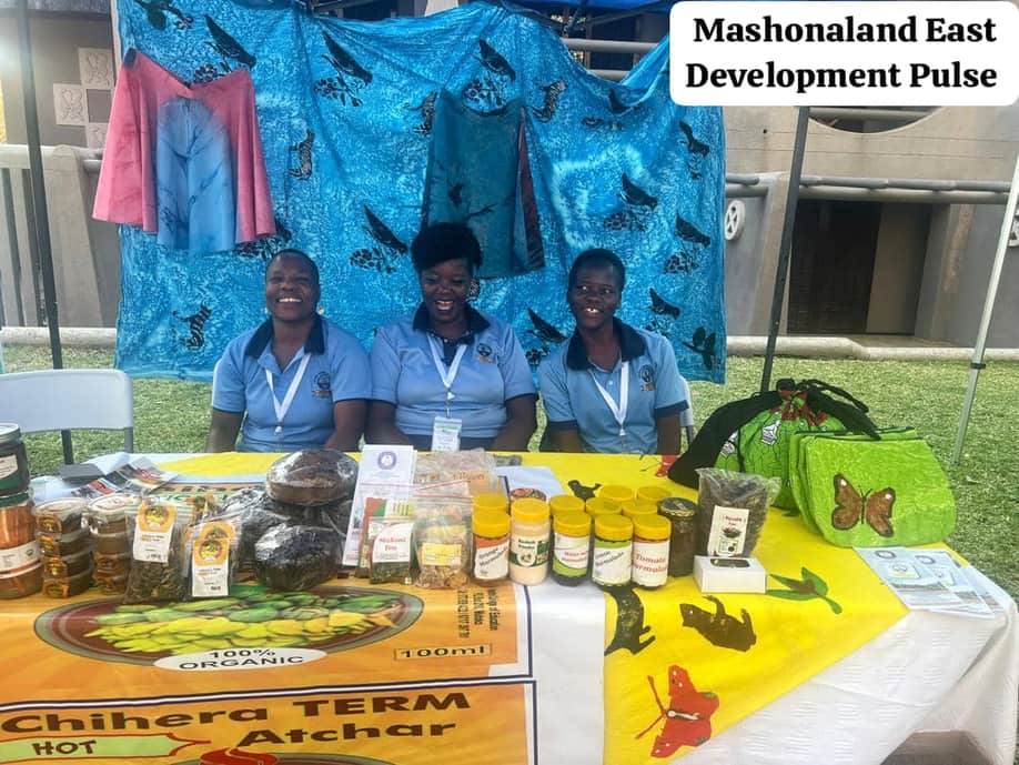 Impulso de desenvolvimento em Mashonaland East